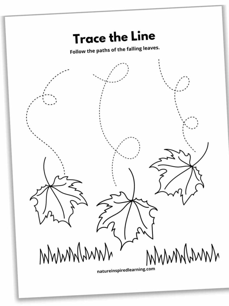 Free Printable Fall Line Tracing Worksheets