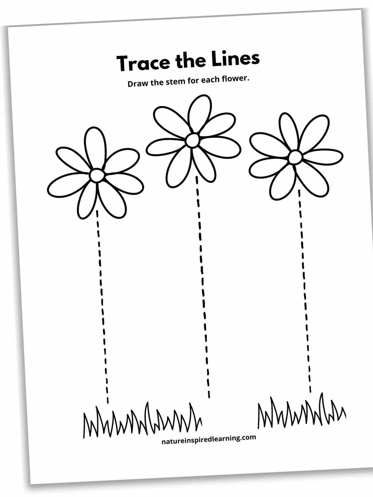 17 Line Tracing Worksheets Free Nature Inspired Learning
