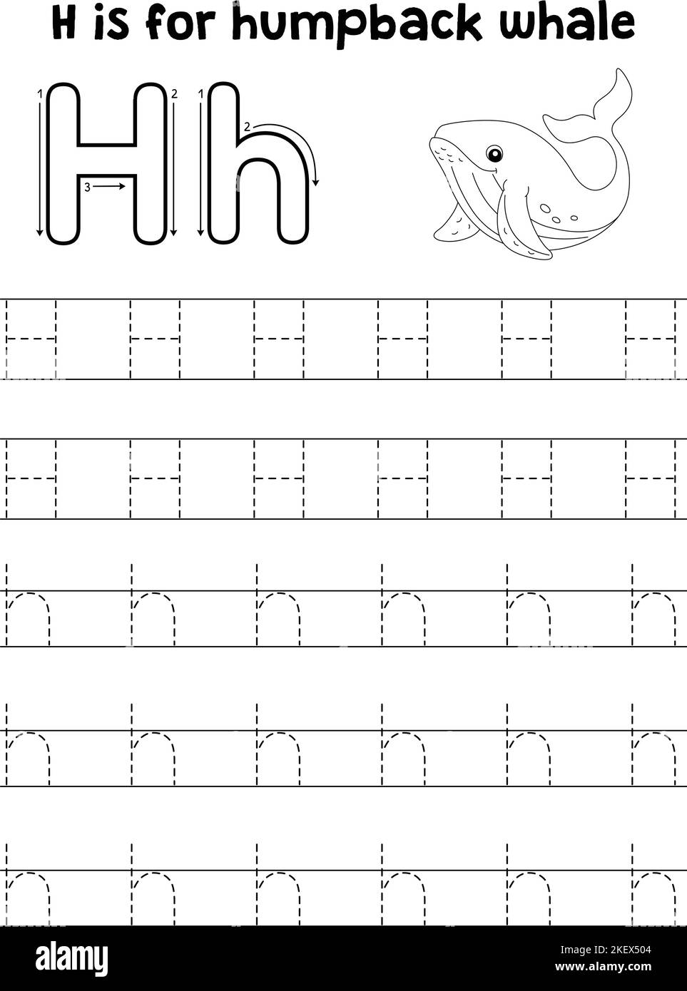 Tracing Letter H Hi res Stock Photography And Images Alamy
